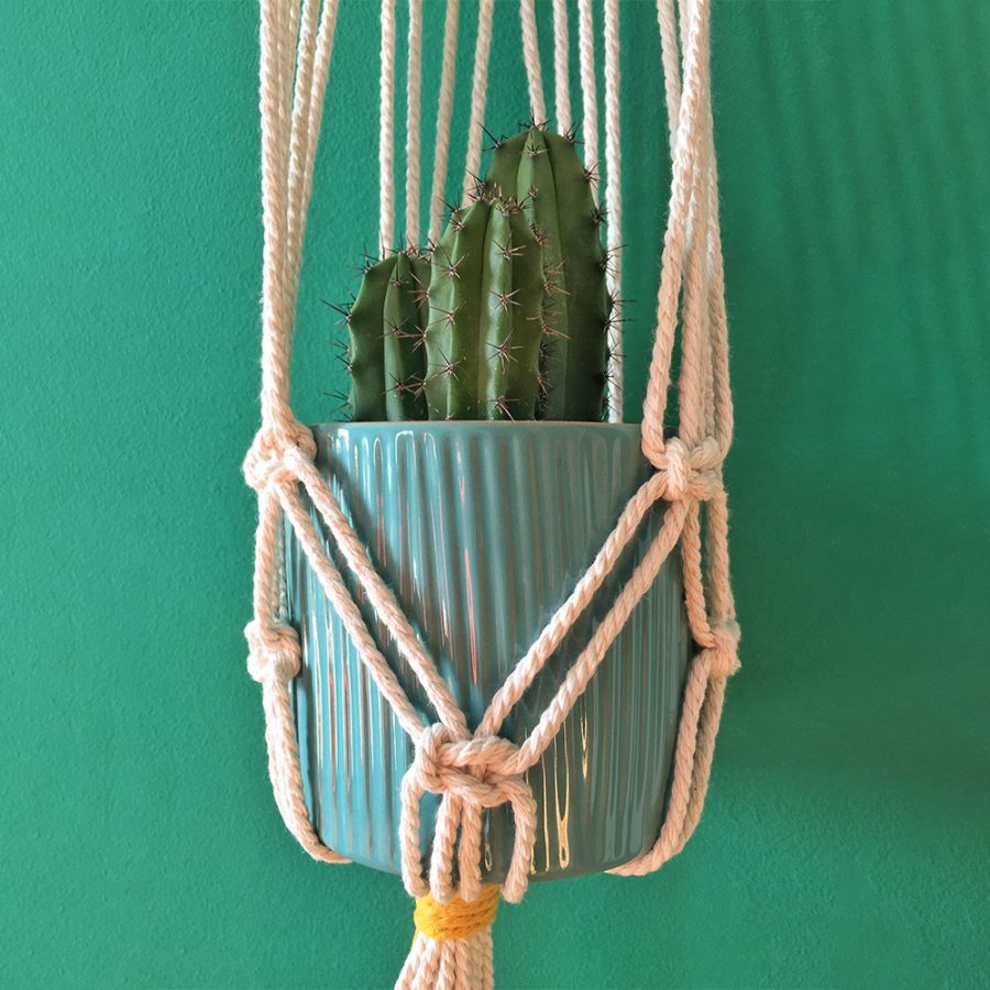 Macetero pared blanco detalles amarillo B